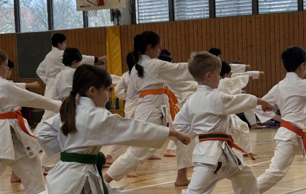 Bild Kinderkarate